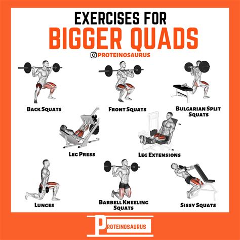 best reps for quad growth